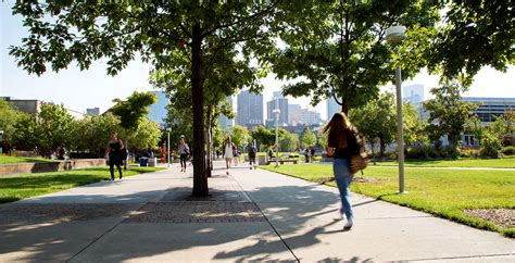 msu denver student hub